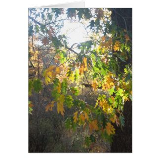 Nedgångfärg Hälsningskort