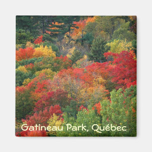 Nedgångfärger i Gatineau parkerar Magnet