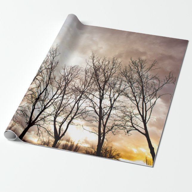 Nedgånghöstträd på solnedgången presentpapper (Utrullad)