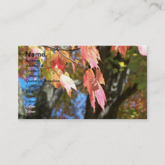 Nedgångkort Visitkort