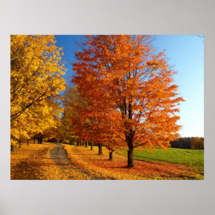 Nedgångplats i Vermont Poster
