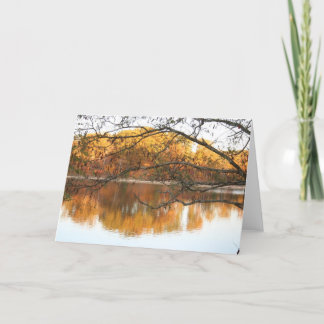 Nedgångreflexion Kort