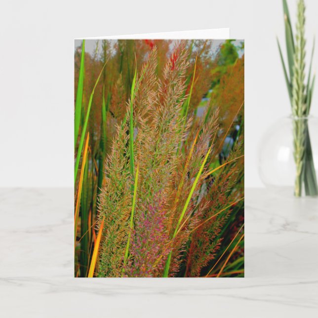 Nedgångsamlingen noterar kortet kort (Framsida)