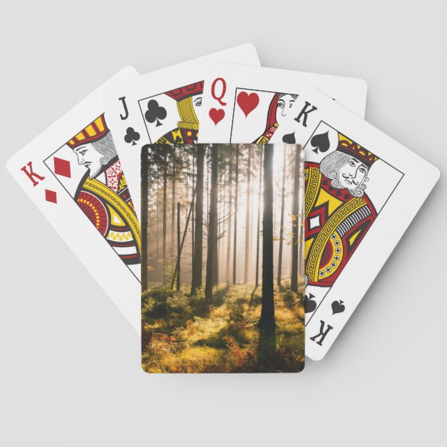 Nedgångskog med Sunrays Casinokort (Baksidan)