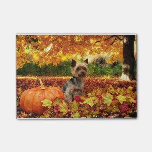 Nedgångthanksgiving - Tucker - Yorkie Post-it Block