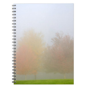 Nedgångträd som döljas i mist anteckningsbok