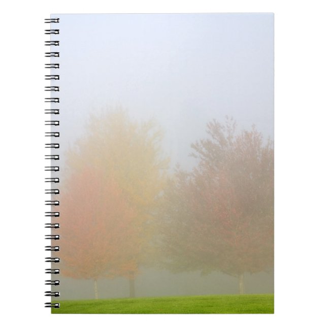 Nedgångträd som döljas i mist anteckningsbok (Framsidan)