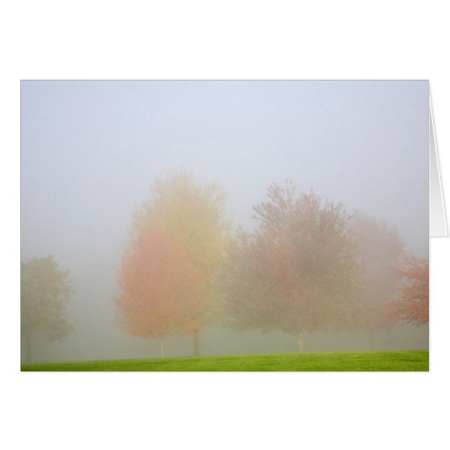 Nedgångträd som döljas i mist hälsningskort (Framsidan Horizontal)