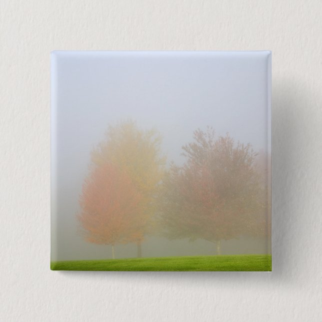 Nedgångträd som döljas i mist knapp (Framsida)