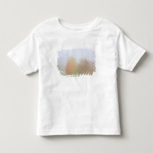 Nedgångträd som döljas i mist t shirt