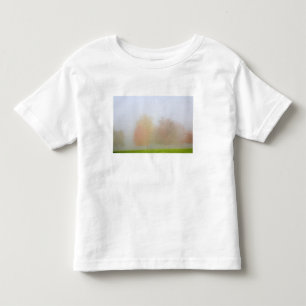 Nedgångträd som döljas i mist t-shirt
