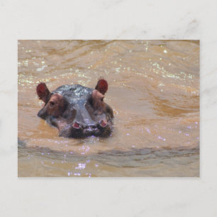 Nedkopplat Hippo-vykort Vykort