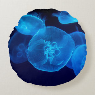 NEDLÄGGNING AV SVARMPHOTOGRAFI AV JELLYFISH RUND KUDDE