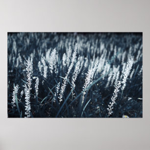 NEDLÄGGNINGSFOTOGRAFI FÖR GRÖNT-LEAFED VÄXTER POSTER