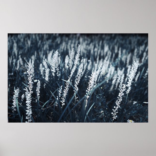 NEDLÄGGNINGSFOTOGRAFI FÖR GRÖNT-LEAFED VÄXTER POSTER (Framsidan)