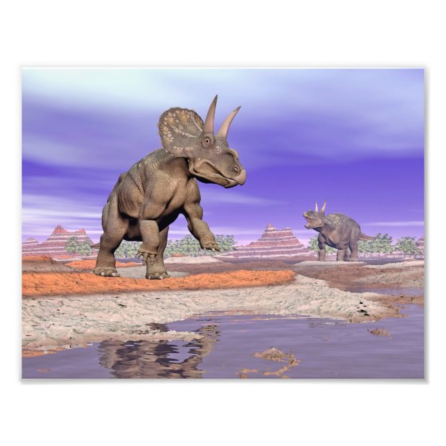 Nedoceratops/diceratops dinosaurs av naturen fototryck (Framsidan)