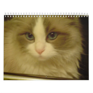 Nedräkningkalender 2013 kalender