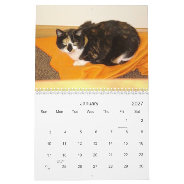Nedräkningkalender 2013 kalender (Jan 2027)