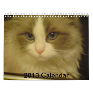 Nedräkningkalender 2013 kalender