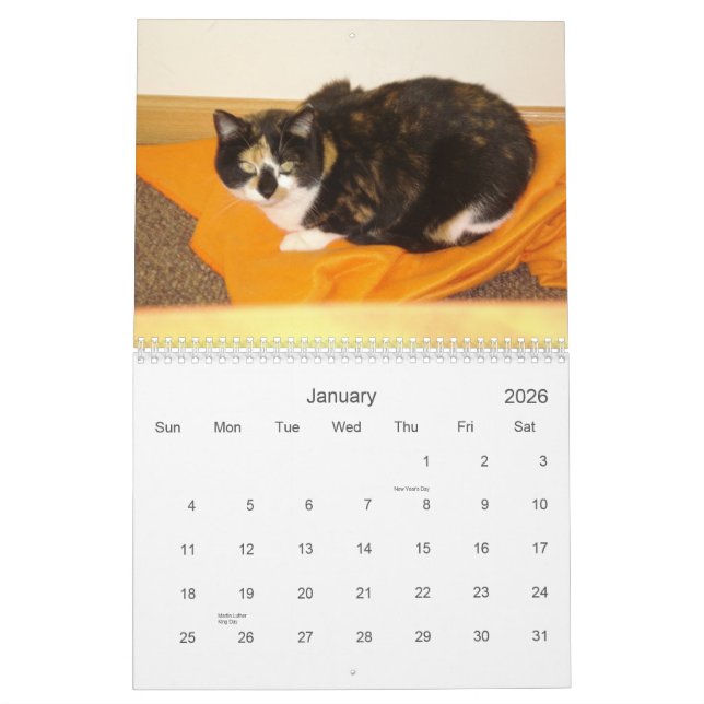 Nedräkningkalender 2013 kalender (Jan 2026)