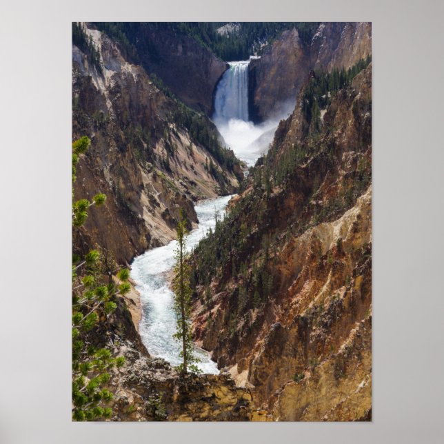 Nedre blomning Yellowstone Poster (Framsidan)