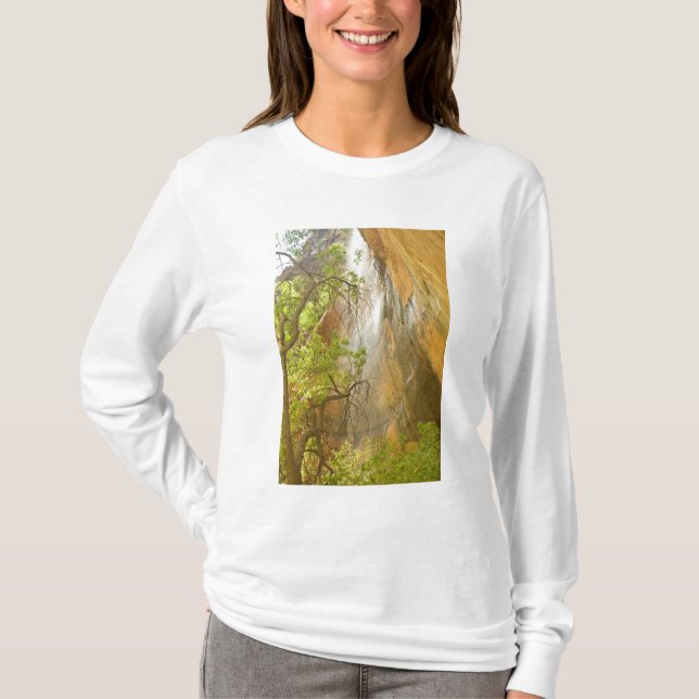 Nedre Emerald Pool vattenfall Röd sten och träd T-shirt (Framsida)