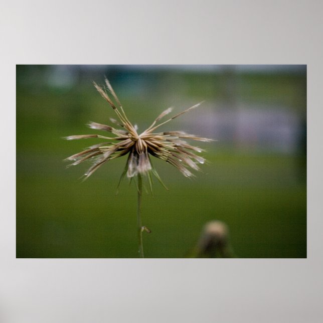 Nedsänkt utskrift poster (Framsidan)