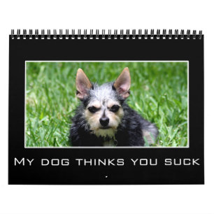 Nedslående och demografiskt Humor 2023 Kalender