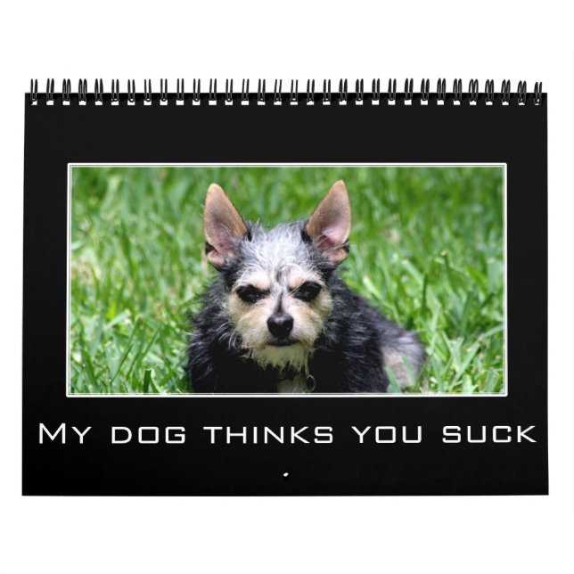 Nedslående och demografiskt Humor 2023 Kalender (Omslag)