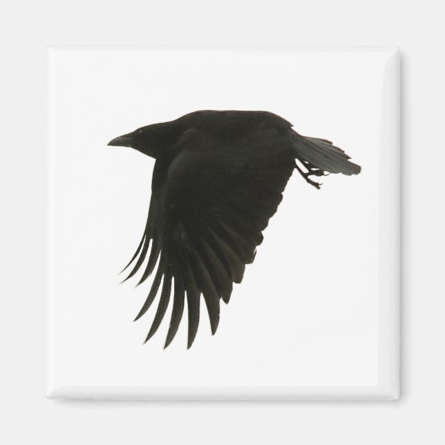 nedslagen magnet (Framsidan)