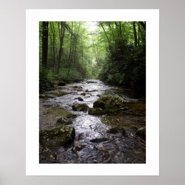 Nedströms Poster (Framsidan)