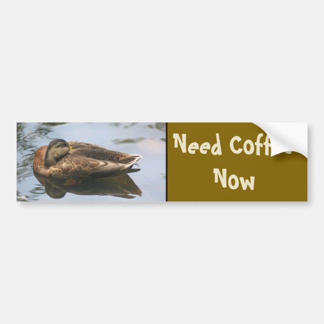Need Coffee Funny Duck Bildekal (Framsidan)