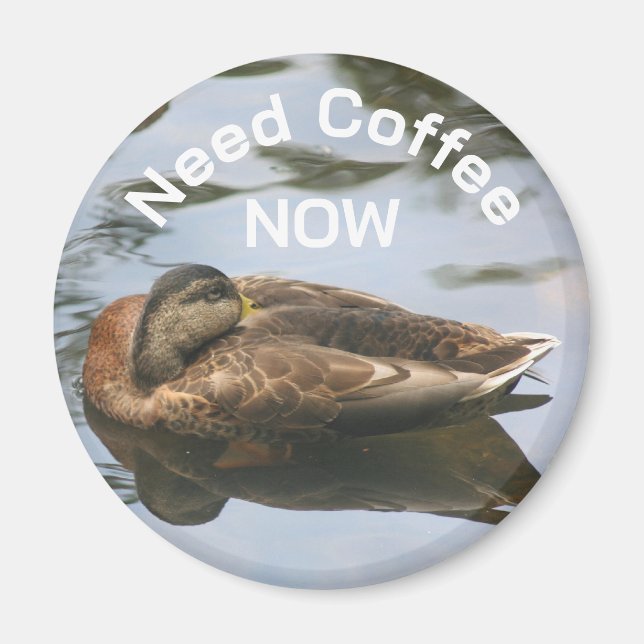 Need Coffee Sleepy Duck Funny  Magnet (Framsidan)