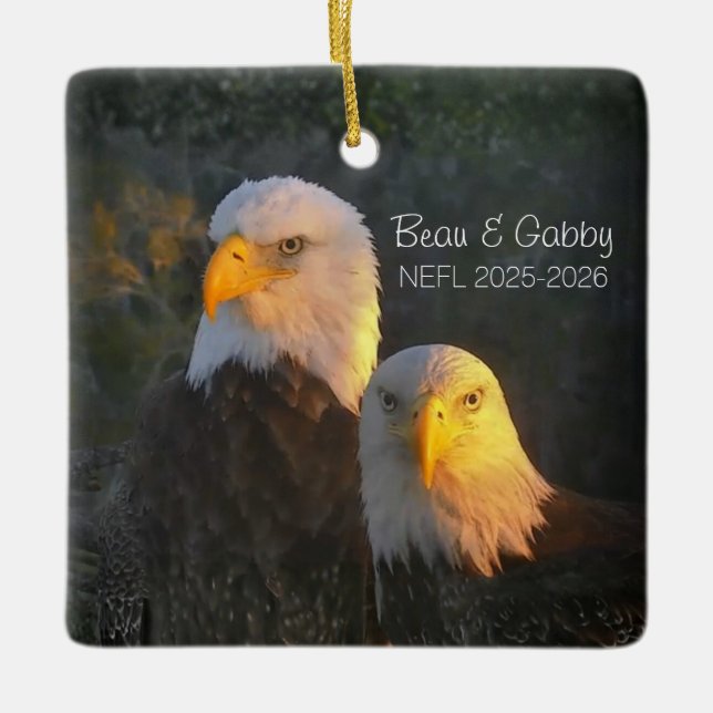 NEFL Beau & Gabby Ornament 2025/2026 (Framsida)