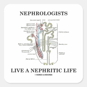Nefrologer lever ett nefritiskt liv (Nephron) Fyrkantigt Klistermärke