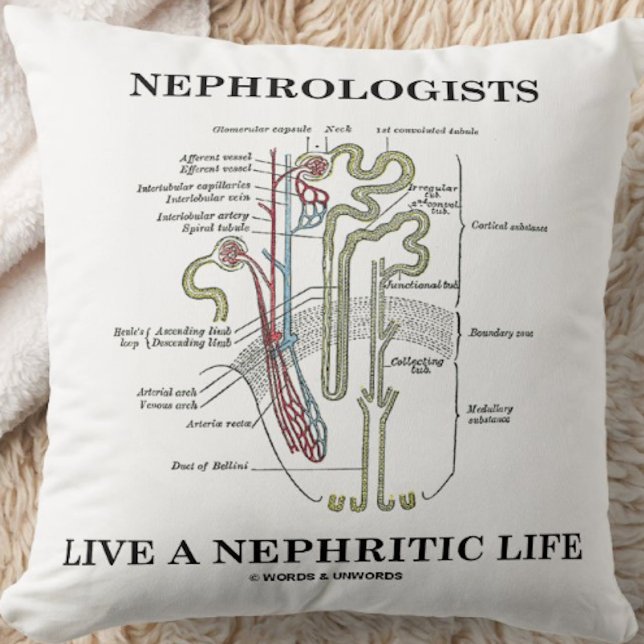 Nefrologer lever ett nefritiskt liv (Nephron) Kudde (Throw pillow featuring a kidney's nephron and cheeky medical saying for any nephrologist)
