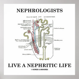 Nefrologer lever ett nefritiskt liv (Nephron) Poster