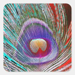 Negativ Peacock Feather Fyrkantigt Klistermärke