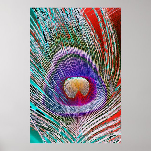 Negativ Peacock Feather Poster (Framsidan)