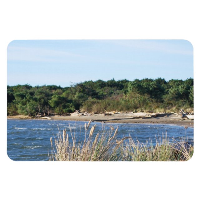 Nehalem Bay State Park Magnet (Horisontell)