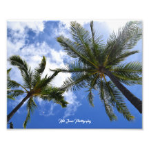 Neil Jones Photography - Handflatan på Waikiki Bea