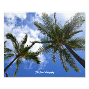 Neil Jones Photography - Handflatan på Waikiki Bea Fototryck