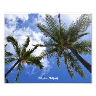 Neil Jones Photography - Handflatan på Waikiki Bea Fototryck