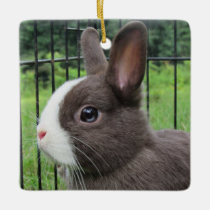 Neitherland Dwarf Pet Bunny Rabbit Julgransprydnad Keramik