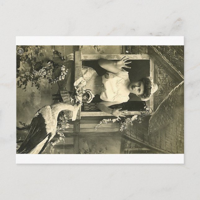 Nej! Den infernala storken! Vykort (Framsida)