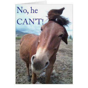 Nej, det kan han inte! Donkey Hälsningskort