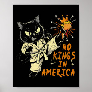 Nej, inga kungar i Amerika, rolig Trump Vi folket Poster