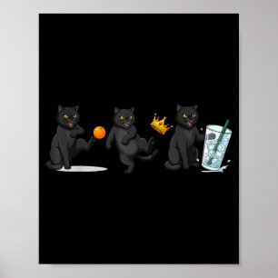 Nej, inga kungar, ingen is katt rolig politisk mem poster