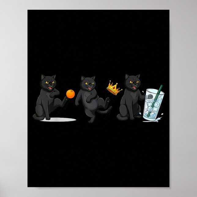 Nej, inga kungar, ingen is katt rolig politisk mem poster (Framsidan)