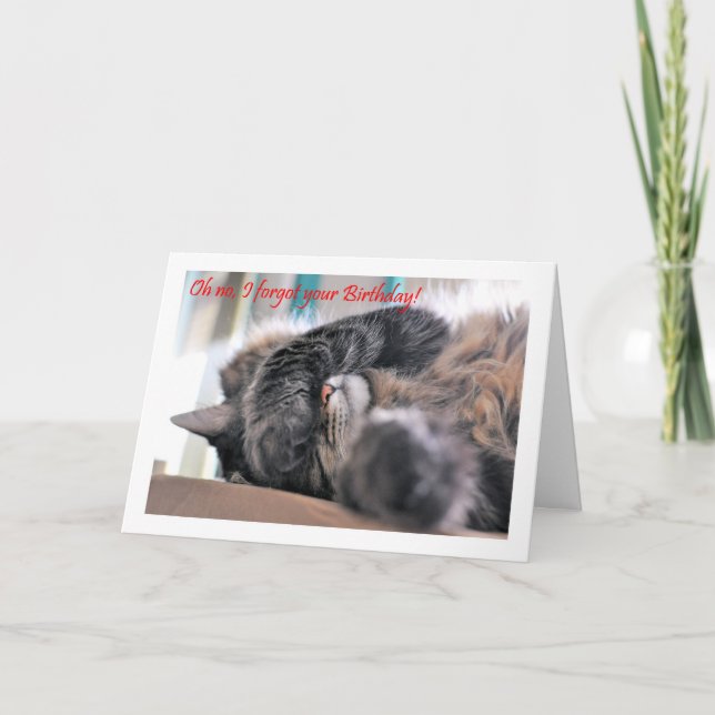 Nej, jag glömde din födelsedag! Cat Lycklig beltae Kort (Framsida)
